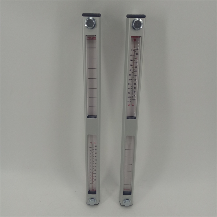 液位液溫計(jì)YWZ-400T