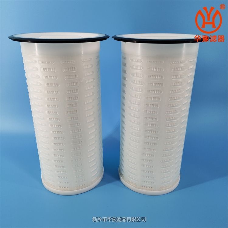 頗爾10寸大流量濾芯